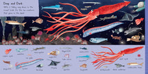 101 Sea Creatures to Find Board Book