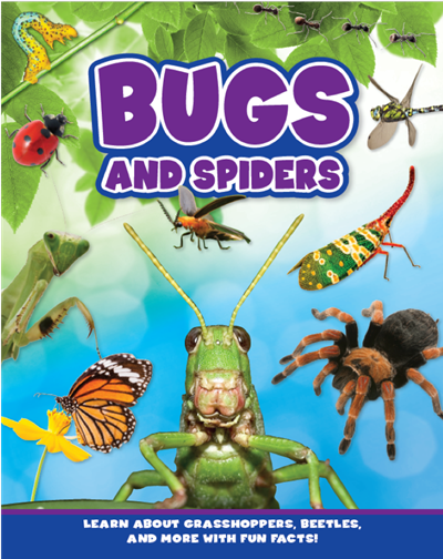 Bugs and Spiders Hardcover Book