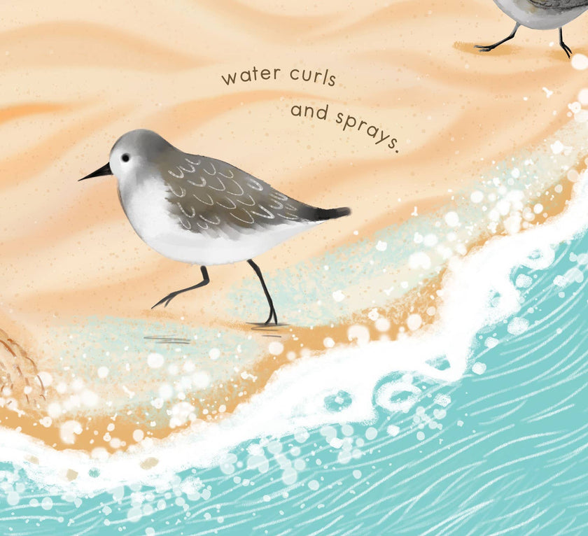 Sandy Feet! Whose Feet? Footprints at the Shore Picture Book