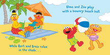 Indestructibles: Sesame Street: Beach Day Book