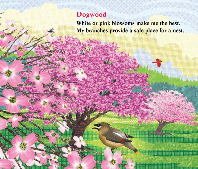 A Seasons of Flowers