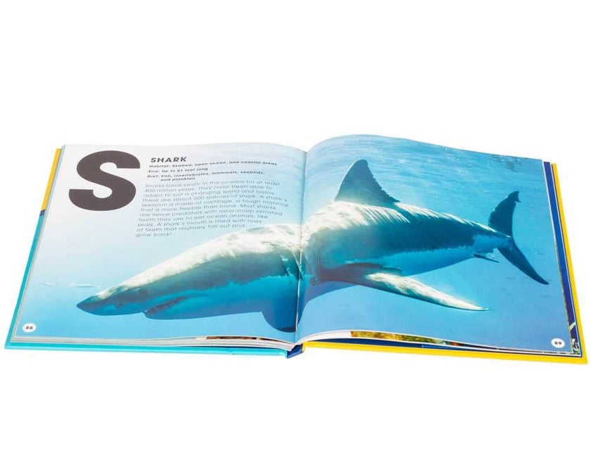 A to Z of Ocean Life Hardcover Book