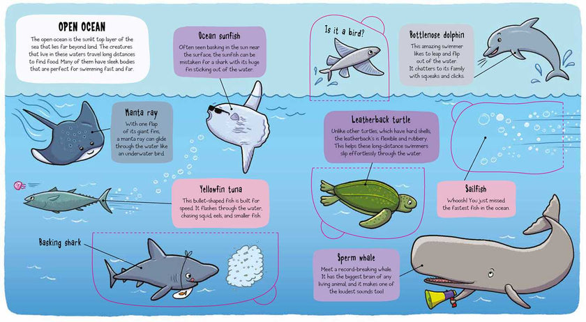 Little Explorers: Under the Sea Book