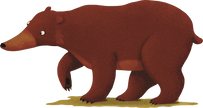 A Year in the Forest with Bear Board Book