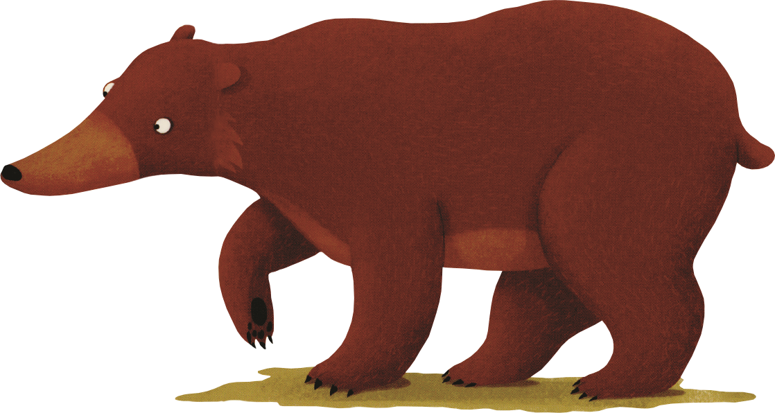 A Year in the Forest with Bear Board Book