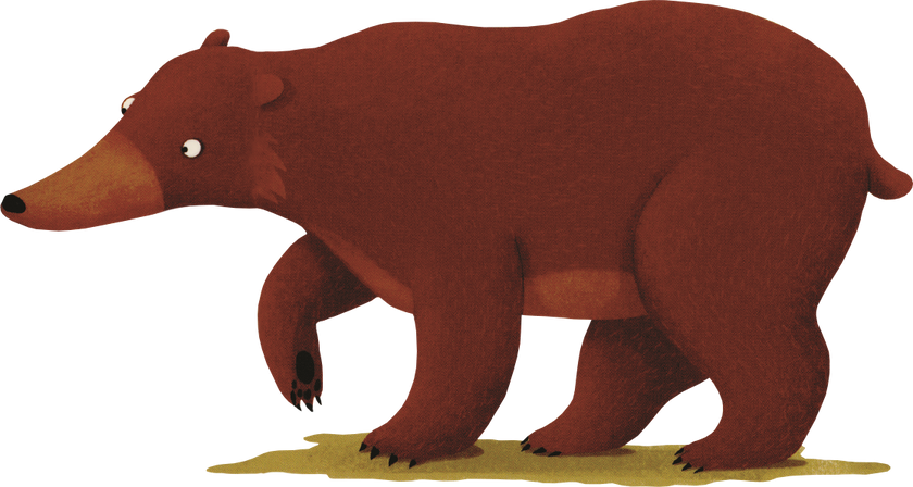 A Year in the Forest with Bear Board Book