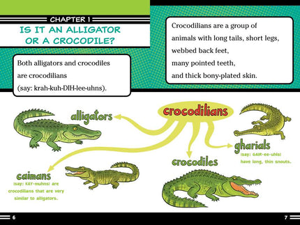 Alligators and Crocodiles Can't Chew! Book