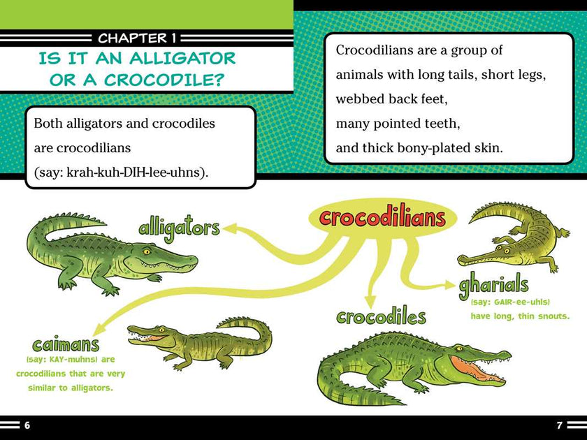 Alligators and Crocodiles Can't Chew! Book