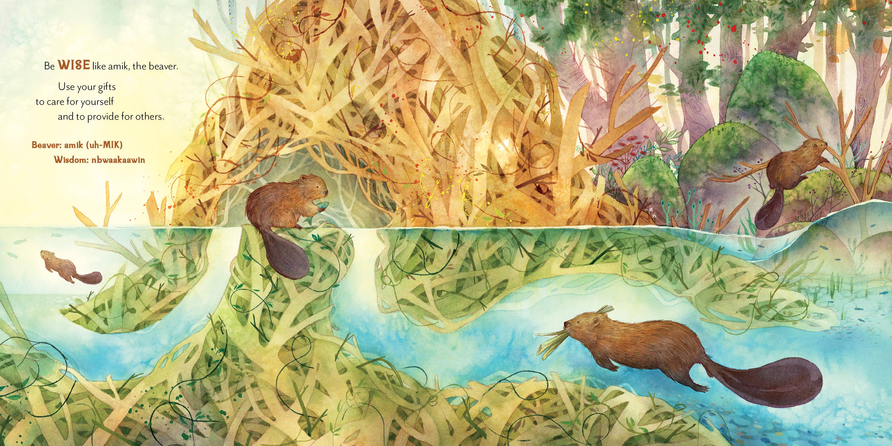 Mama's Song Picture Book