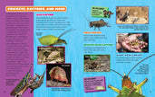 Bugs and Spiders Hardcover Book