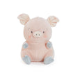 Baby Hammie the Pig Plush Stuffed Animal