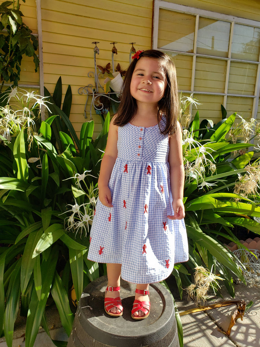 Lobster Empire Embroidered Gingham Dress – Little-Minnows