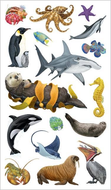 Temporary Tattoos That Teach: Ocean Animals