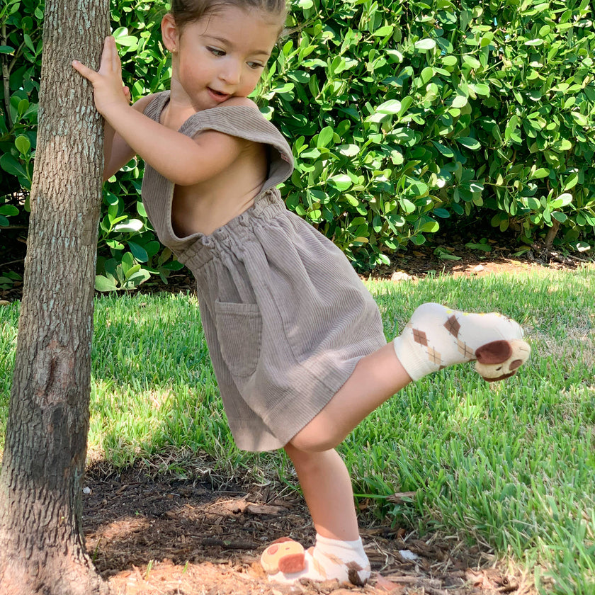 Brown Dog Rattle Socks