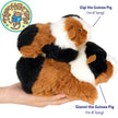 Gianni The Guinea Pig - 9 Inch Stuffed Animal Plush