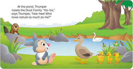 Disney Horray for Nature! Book