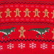 Infant Fair Isle Sweater Set | Red Dino
