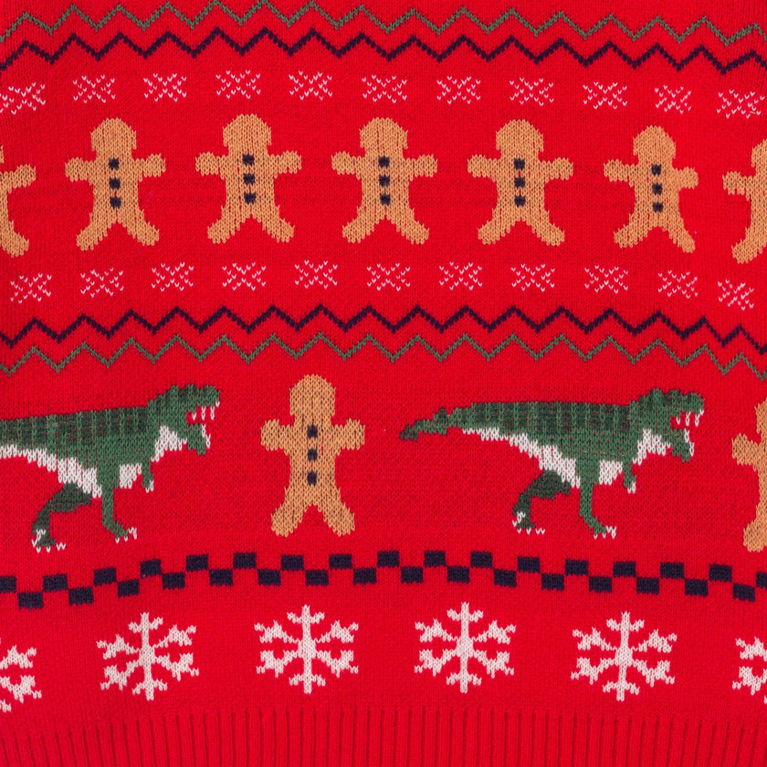 Infant Fair Isle Sweater Set | Red Dino