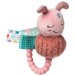 Taggie's Camilla Caterpillar Teether Rattle