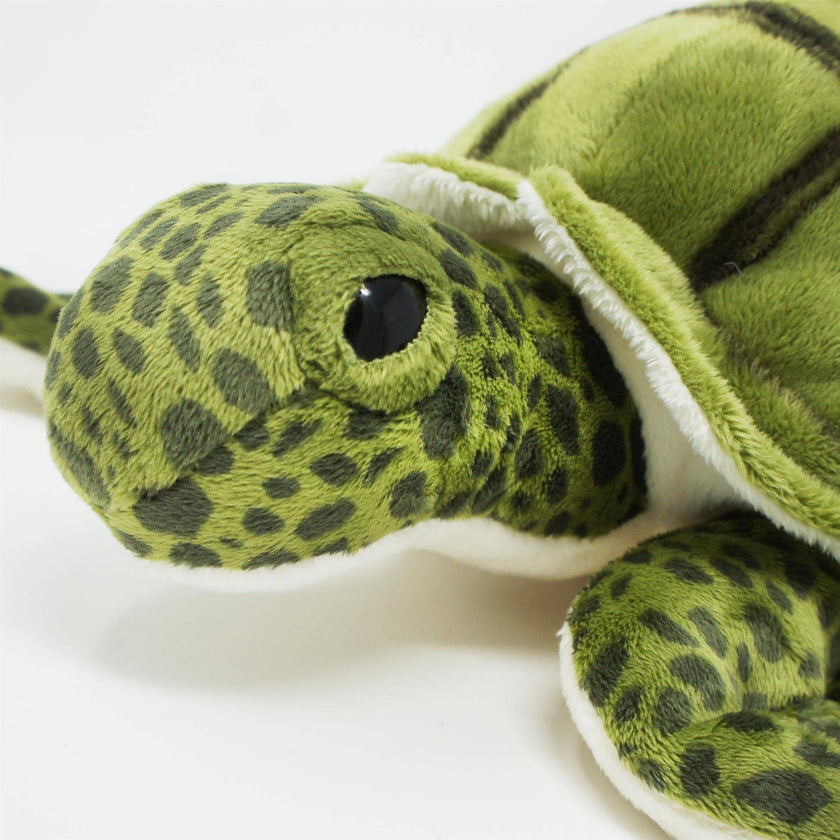 Turquoise The Green Sea Turtle | 10 Inch Stuffed Animal Plus