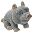 CK Potbelly Pig Plush Stuffed Animal 12