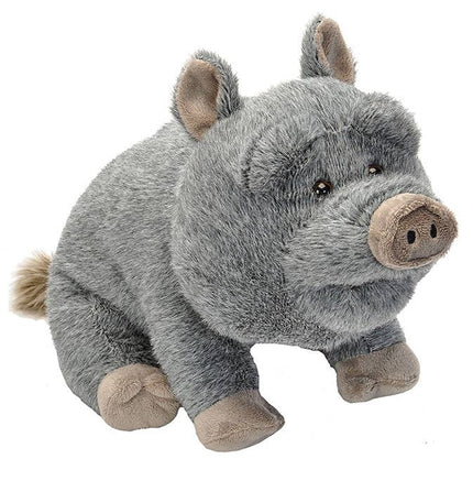 CK Potbelly Pig Plush Stuffed Animal 12