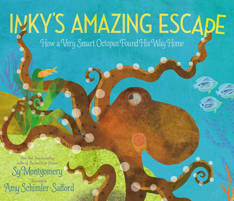 Inky's Amazing Escape Hardcover Book