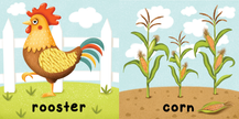 Brilliant Baby: Farm  - Children's Touch and Feel and Learn Sensory Board Book