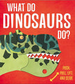 What Do Dinosaurs Do? Board Book