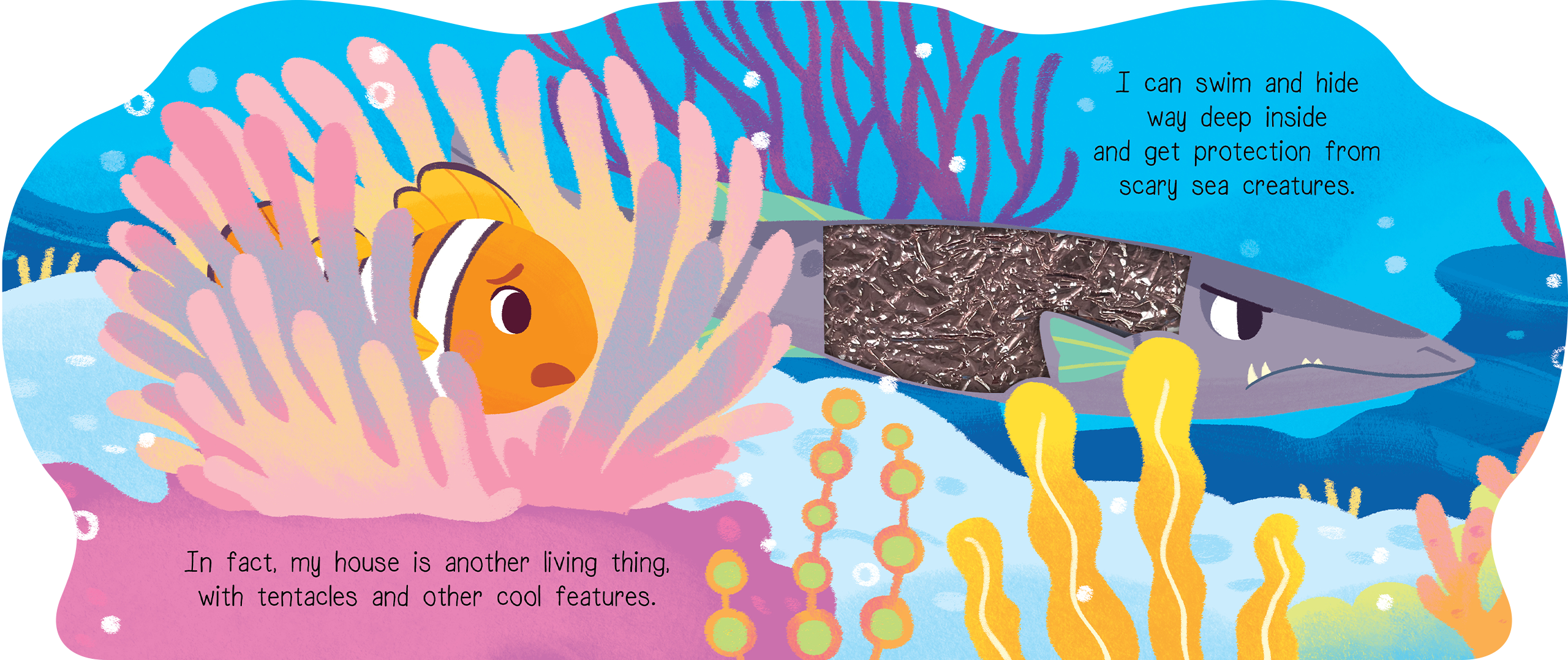 Coral Days with Clownfish Board Book