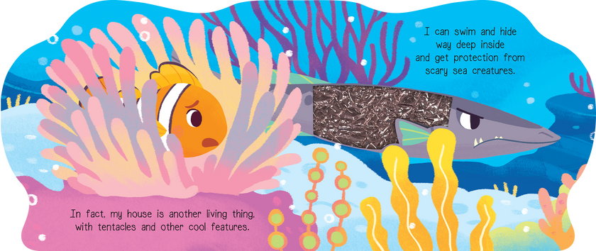 Coral Days with Clownfish Board Book