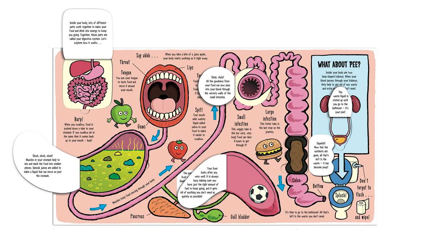 Little Explorers: My Amazing Body Book