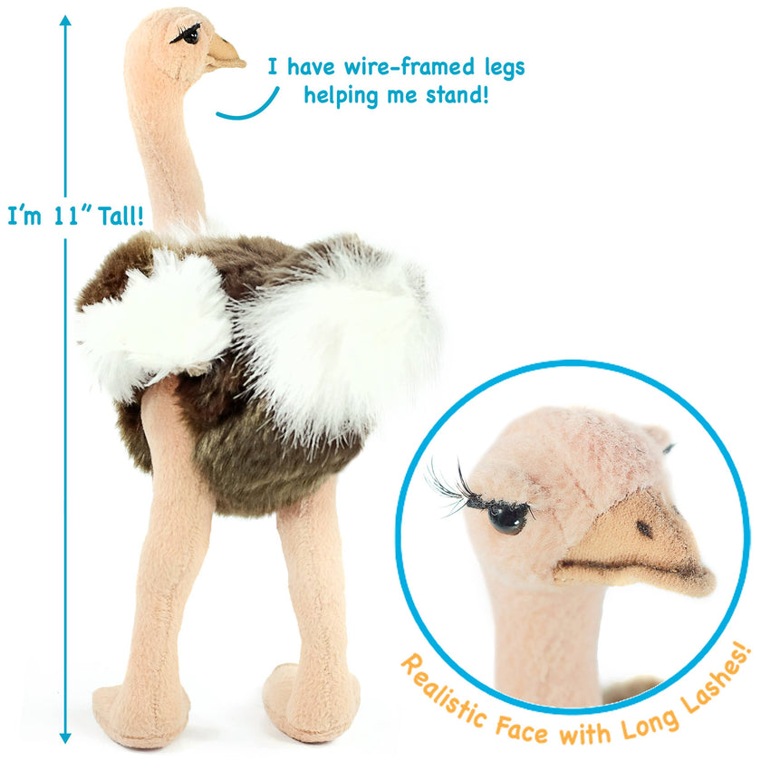 Ola The Ostrich | 12 Inch Stuffed Animal Plush