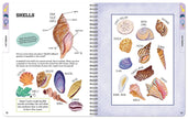 Outdoor Explorers: Hit the Beach! (Coastal Activity Journal)