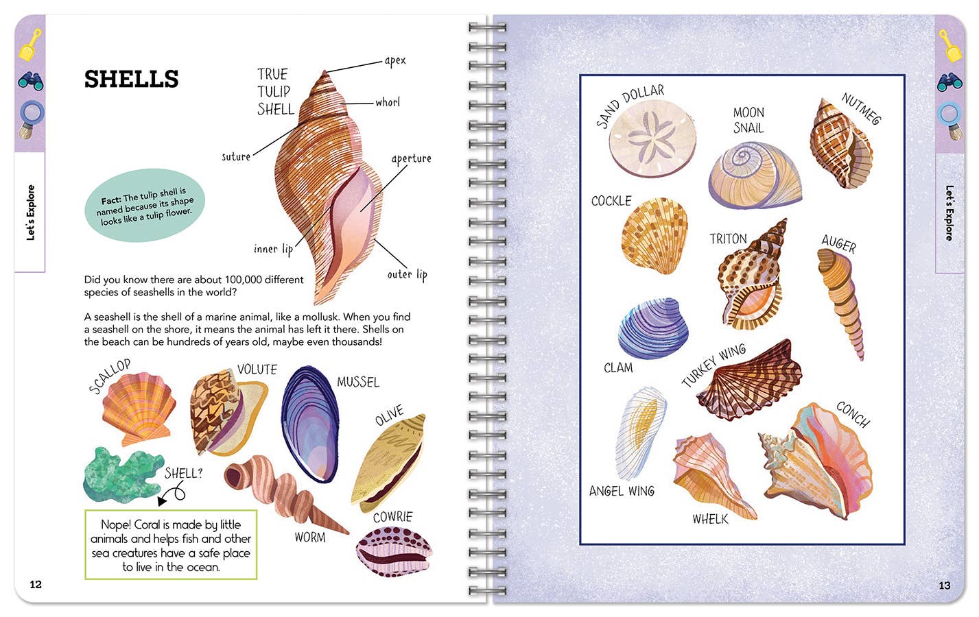Outdoor Explorers: Hit the Beach! (Coastal Activity Journal)