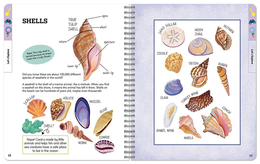 Outdoor Explorers: Hit the Beach! (Coastal Activity Journal)