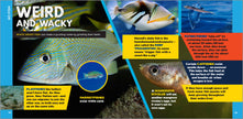 Fascinating Ocean Book for Kids
