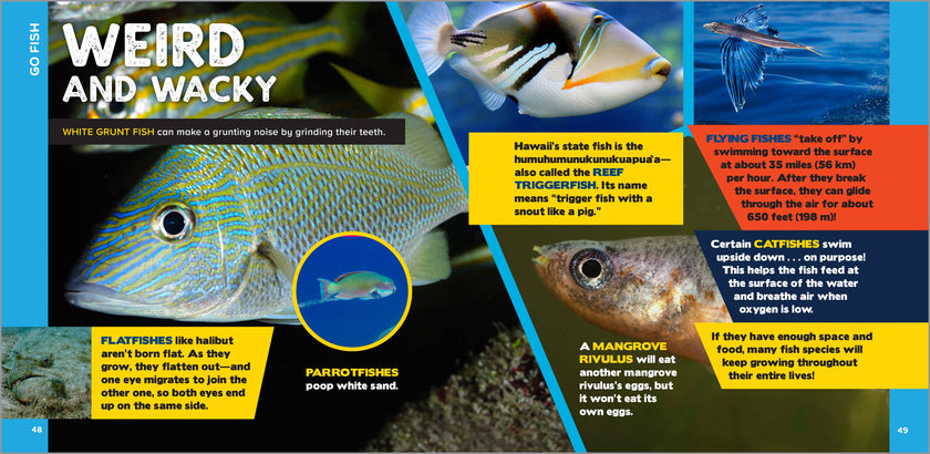 Fascinating Ocean Book for Kids