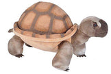CK Desert Tortoise Stuffed Animal 12