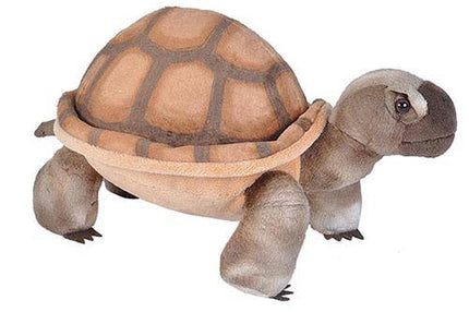 CK Desert Tortoise Stuffed Animal 12