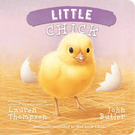 Little Chick Board Book
