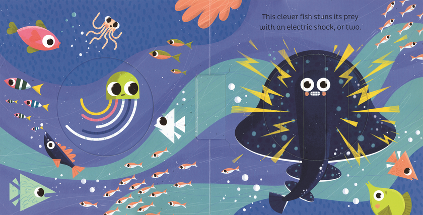 In the Ocean Board Book