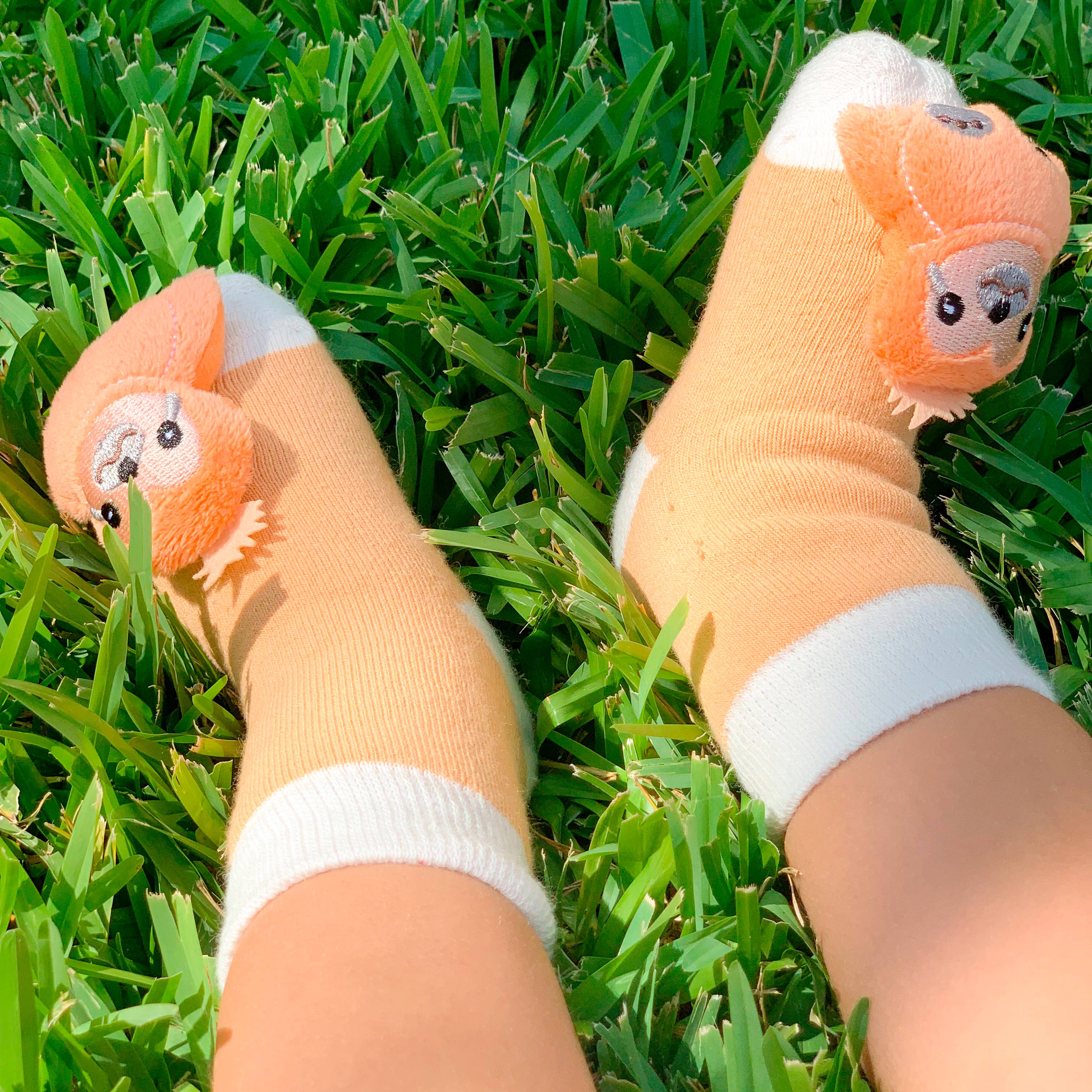 Lazy Sloth  Boogie Toes Rattle Socks