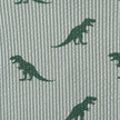 Boys Short Sleeve Cabana Set | Green Stripe Dino