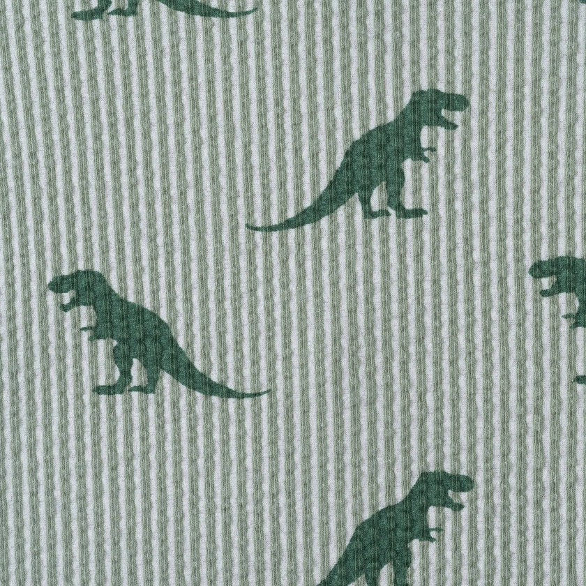 Boys Short Sleeve Cabana Set | Green Stripe Dino