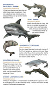 Super, Strong Tattoo Sharks