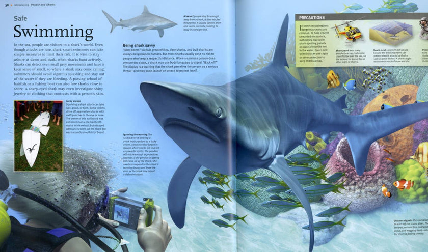 Sharks Book
