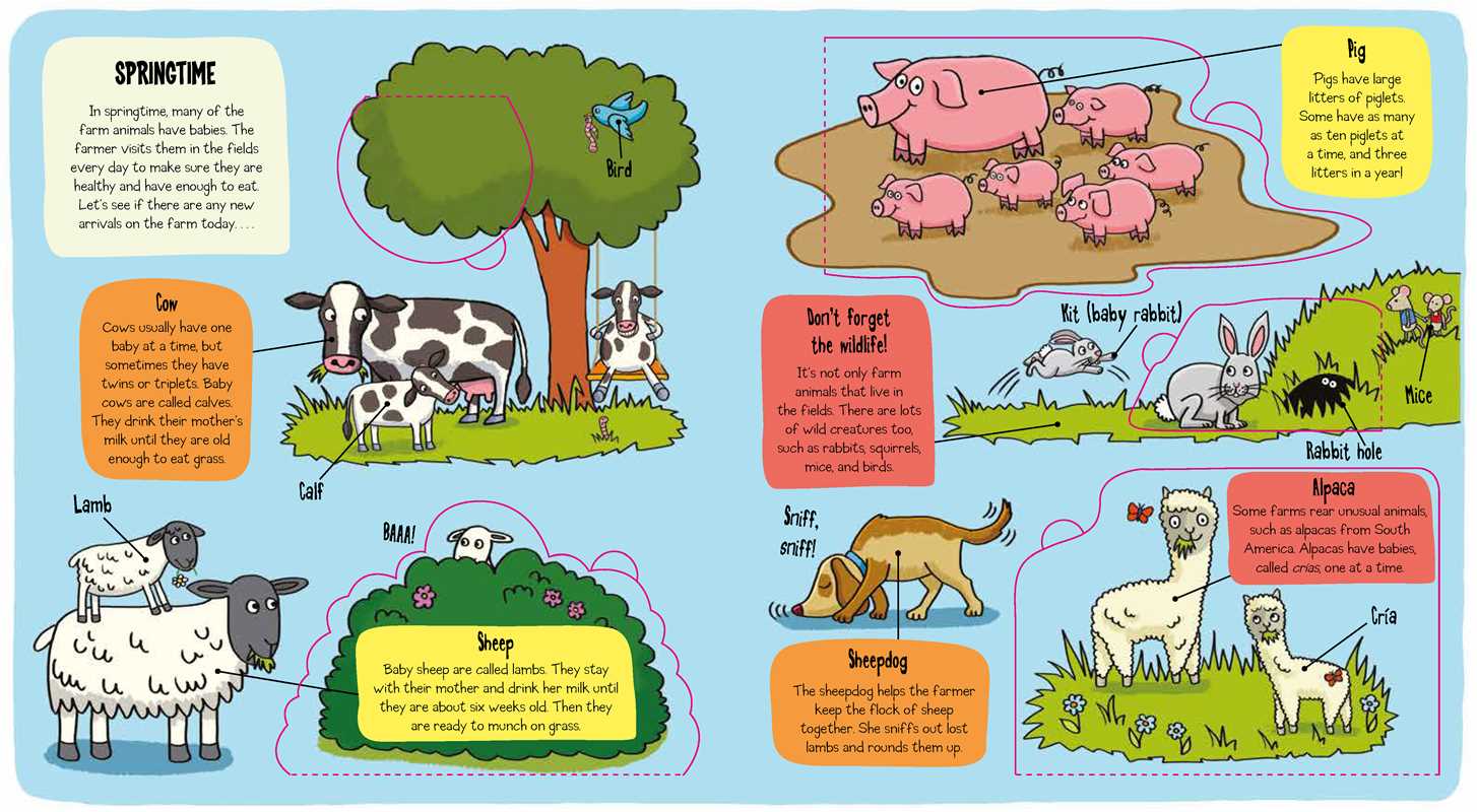 Little Explorers: The Farm Book