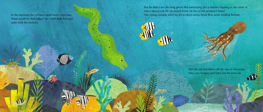 Inky's Amazing Escape Hardcover Book