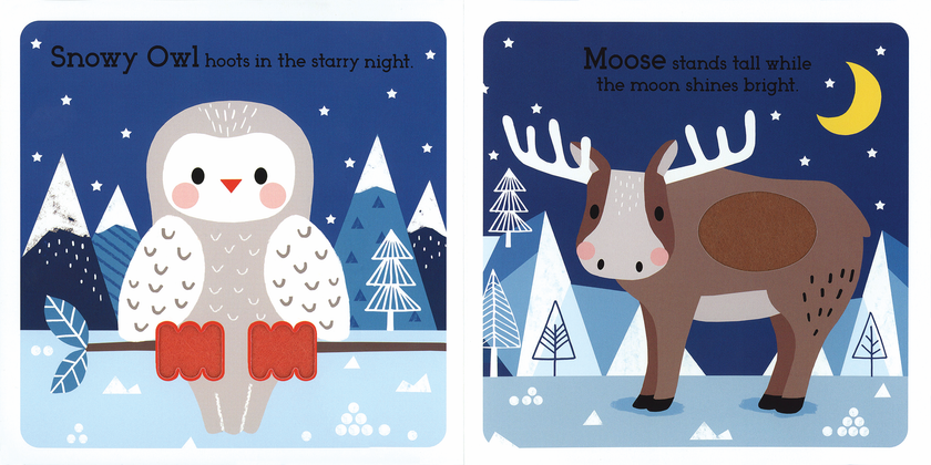 Read, Touch, Discover: Arctic Animals Board Book